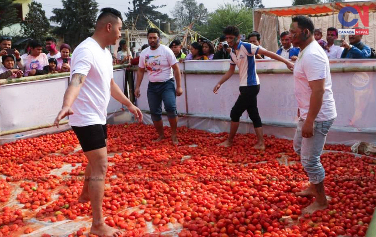 la tomatina1678105170.jpg